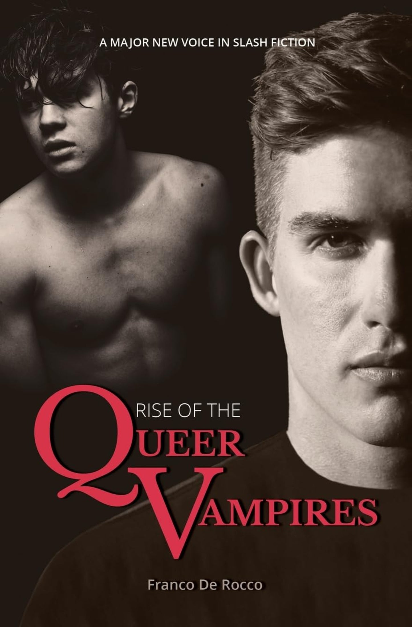 Book Cover: Rise of the Queer Vampires