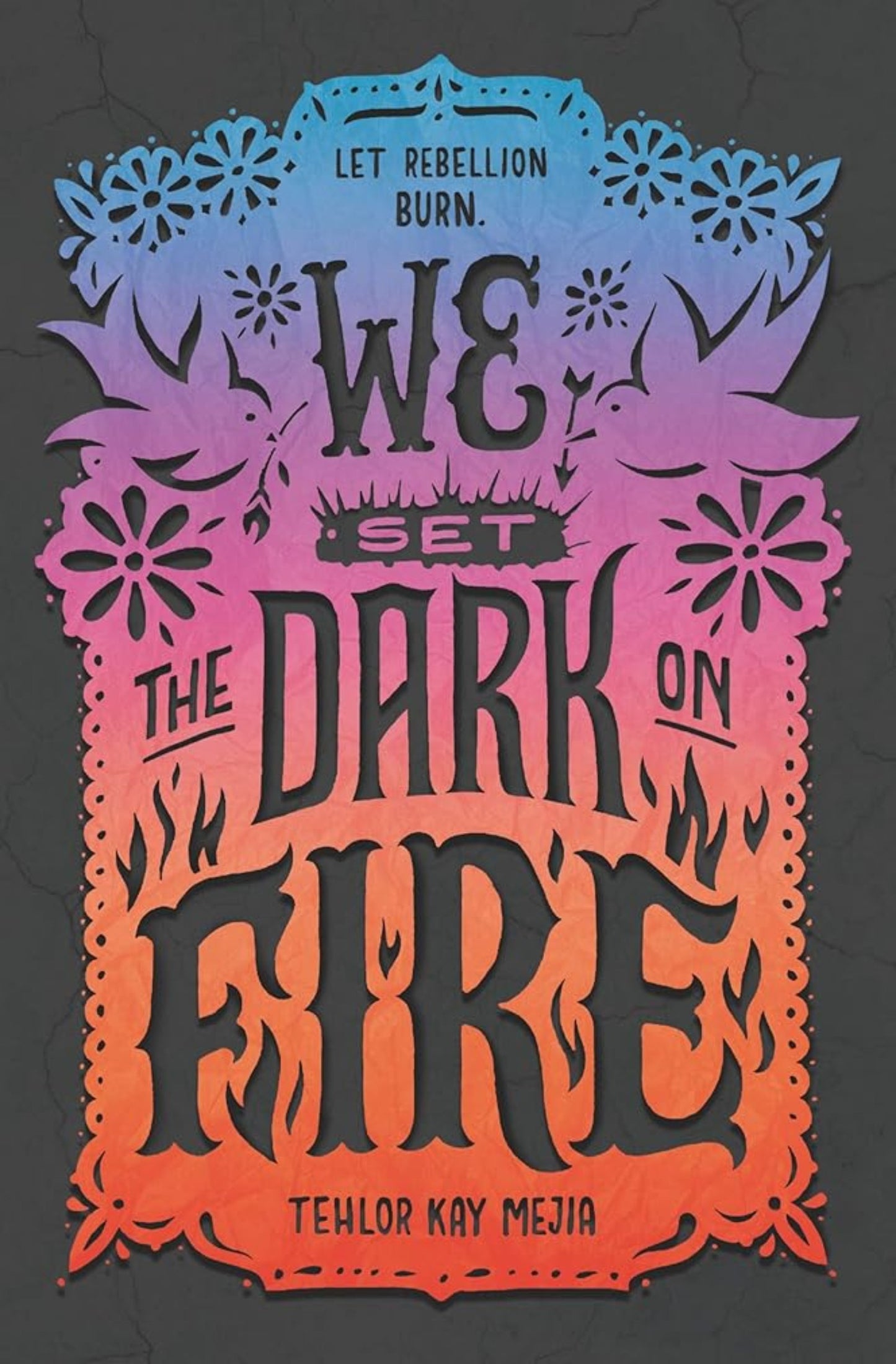 Book cover image: We Set The Dark on Fire