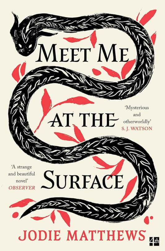 Fourth Estate Meet Me at the Surface. cover image