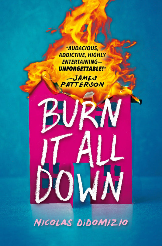 Burn It All Down (Hardback) - Queer Book Bar - Nicolas DiDomizio