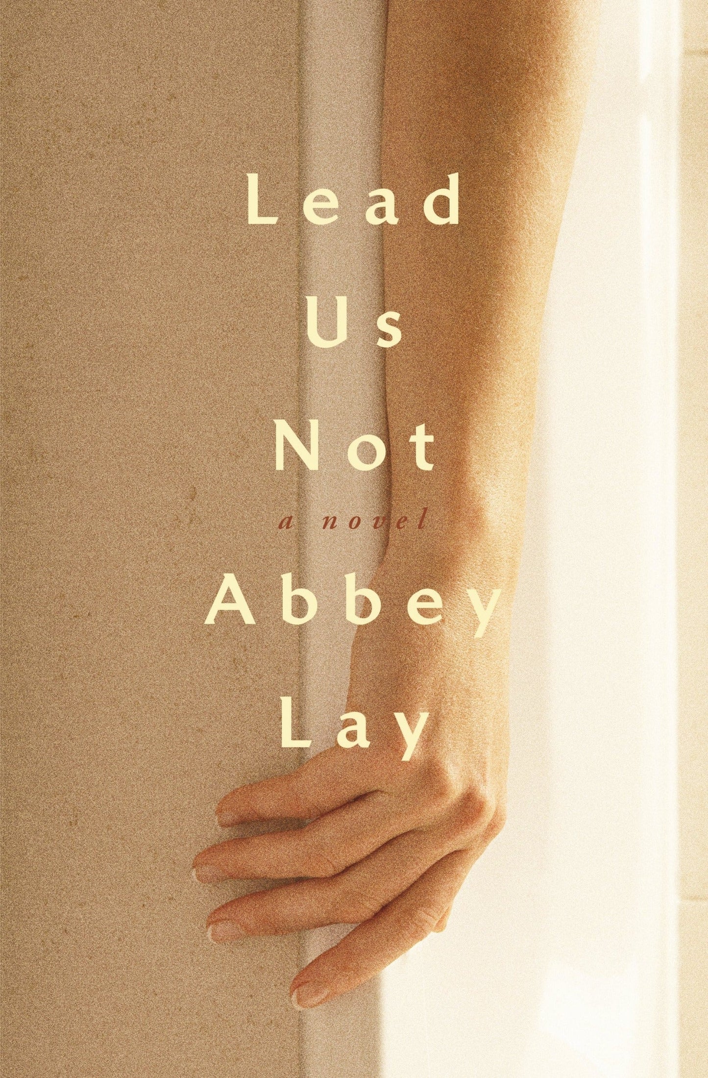 Lead Us Not - Queer Book Bar - Abbey Lay