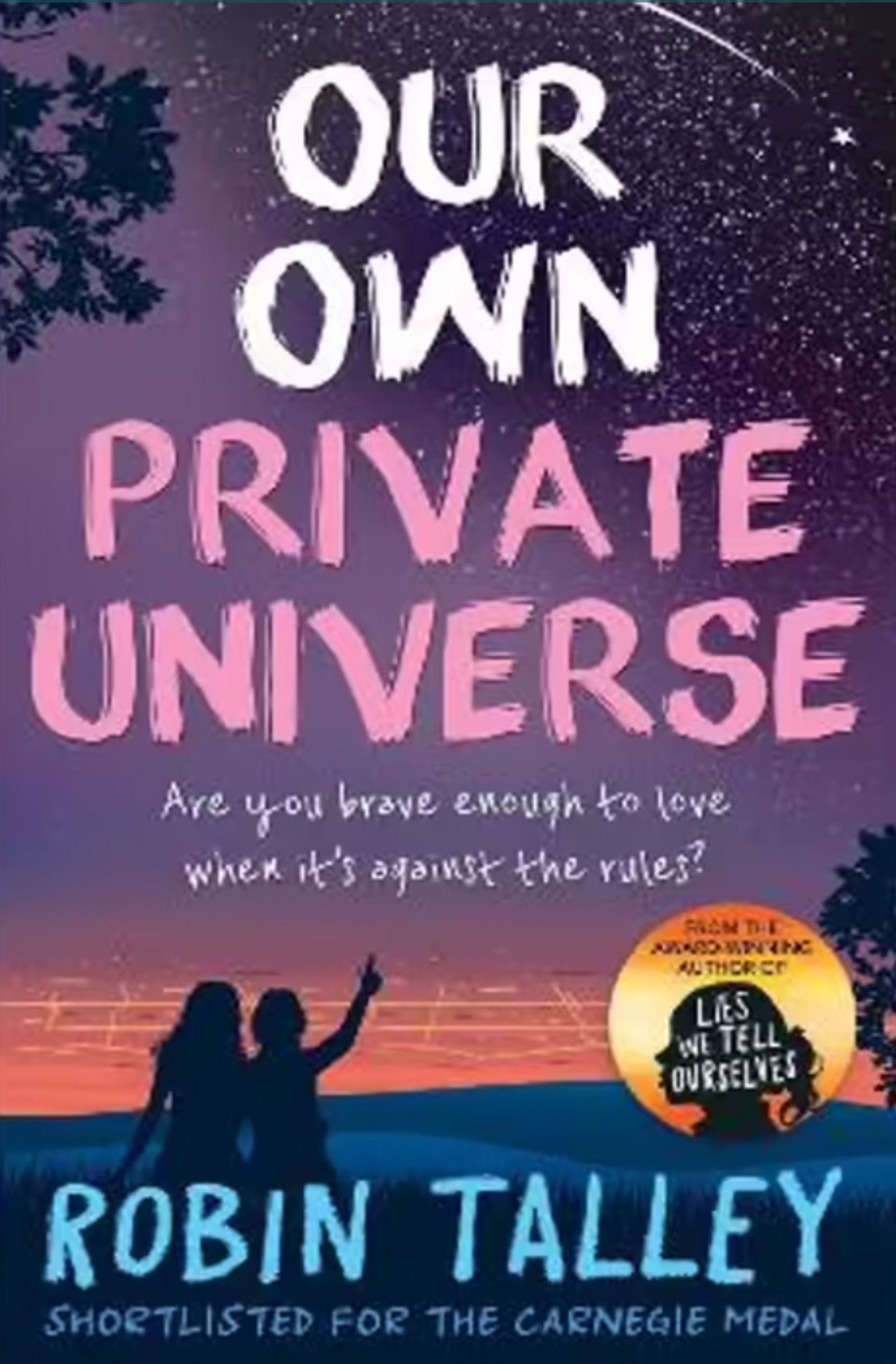 Our Own Private Universe - Queer Book Bar - Robin Talley